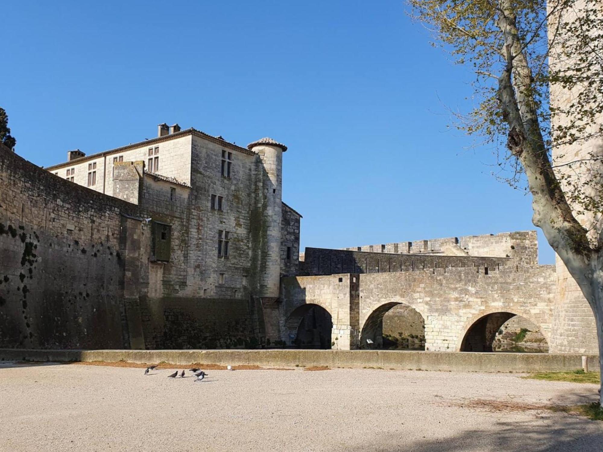 Maison Cosy, 2 Chambres, Adossee Aux Remparts Aigues-Mortes Dış mekan fotoğraf